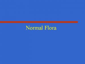 Normal Flora What is Normal Flora mixture of