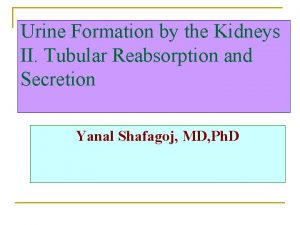 Urine Formation by the Kidneys II Tubular Reabsorption