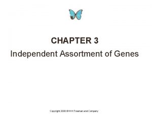 CHAPTER 3 Independent Assortment of Genes Copyright 2008