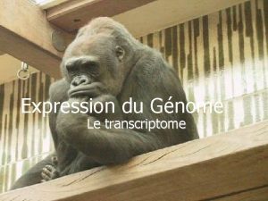 Expression du Gnome Le transcriptome Dchiffrage de lInformation