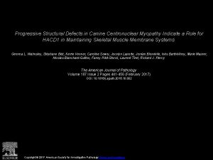 Progressive Structural Defects in Canine Centronuclear Myopathy Indicate