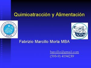 Quimioatraccin y Alimentacin Fabrizio Marcillo Morla MBA barcillogmail
