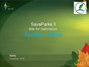 INCVP Sava Parks II Site for restoration Spava