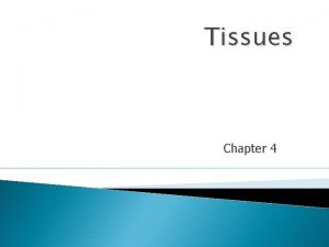 Tissues Chapter 4 Tissues groups of cells with