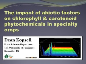 The impact of abiotic factors on chlorophyll carotenoid