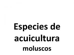Especies de acuicultura moluscos moluscosos de cultivo acucola
