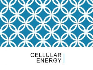 CELLULAR ENERGY WHY DO CELLS NEED ENERGY Move