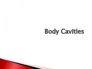 Body Cavities Cavities The body is not a
