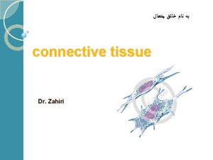 Type of connective tissue