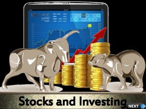 Stocks and Investing Course Objectives Explain What is