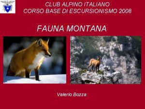 CLUB ALPINO ITALIANO CORSO BASE DI ESCURSIONISMO 2008
