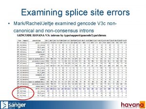 Examining splice site errors MarkRachelJeltje examined gencode V