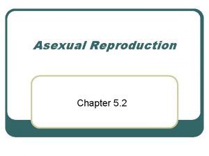 Asexual Reproduction Chapter 5 2 Asexual Reproduction l