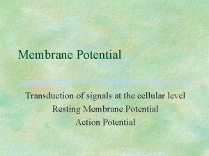 Membrane Potential Transduction of signals at the cellular