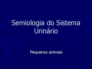 Semiologia do Sistema Urinrio Pequenos animais Resenha e