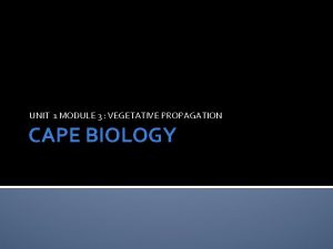 UNIT 1 MODULE 3 VEGETATIVE PROPAGATION CAPE BIOLOGY
