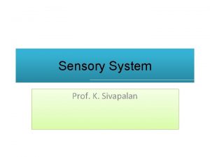 Sensory System Prof K Sivapalan Receptor Mechanism Receptor