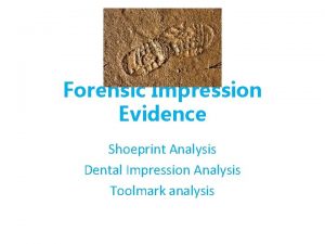 Forensic Impression Evidence Shoeprint Analysis Dental Impression Analysis