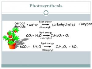 Photosynthesis Photosynthesis Step 1 LightDependent Reaction Sunlight is