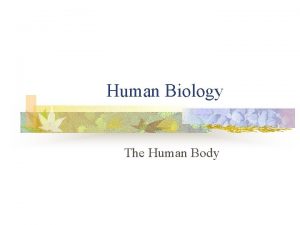 Human Biology The Human Body The Body as