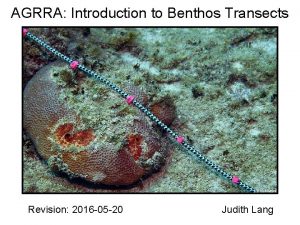 AGRRA Introduction to Benthos Transects K Marks Revision