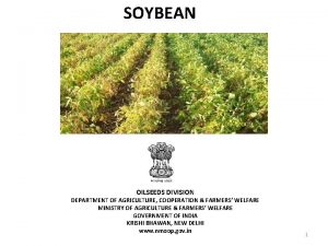 SOYBEAN OILSEEDS DIVISION DEPARTMENT OF AGRICULTURE COOPERATION FARMERS