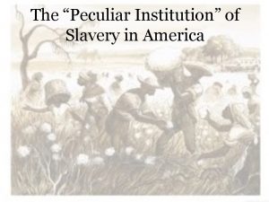 The Peculiar Institution of Slavery in America Black