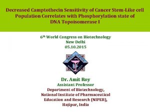Decreased Camptothecin Sensitivity of Cancer StemLike cell Population