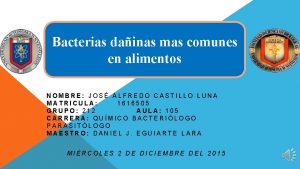 Bacterias dainas mas comunes en alimentos NOMBRE JOS