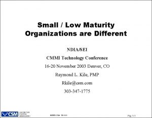 Small Low Maturity Organizations are Different NDIASEI CMMI