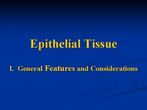 Epithelial Tissue I General Features and Considerations A