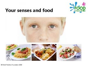 Your senses and food British Nutrition Foundation 2010