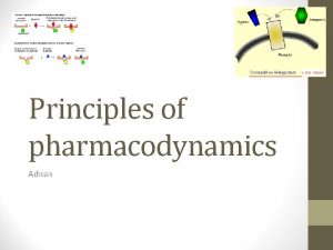 Principles of pharmacodynamics Adnan Receptors Regulatory proteins receptors