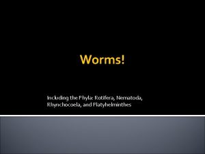 Worms Including the Phyla Rotifera Nematoda Rhynchocoela and