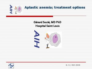 Aplastic anemia treatment options Grard Soci MD Ph