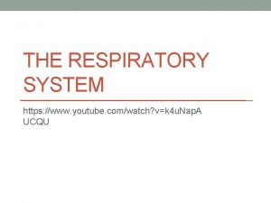 THE RESPIRATORY SYSTEM https www youtube comwatch vk