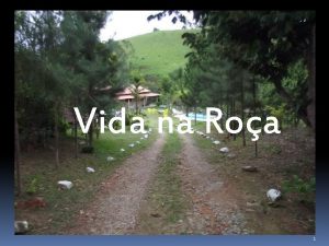 Vida na Roa 1 Lareira 2 Fogo a