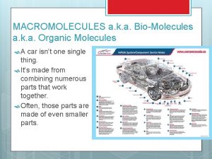 MACROMOLECULES a k a BioMolecules a k a