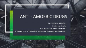 ANTI AMOEBIC DRUGS Dr KUSH PANDEY Assistant Prof