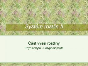 Systm rostlin II st vy rostliny Rhyniophyta Polypodiophyta