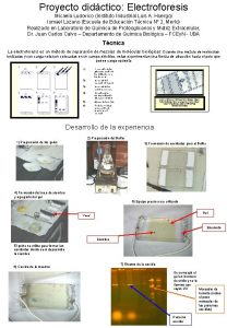 Proyecto didctico Electroforesis Micaela Ludovico Instituto Industrial Luis