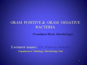 GRAM POSITIVE GRAM NEGATIVE BACTERIA Foundation Block Microbiology