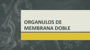 ORGANULOS DE MEMBRANA DOBLE Orgnulos de doble membrana