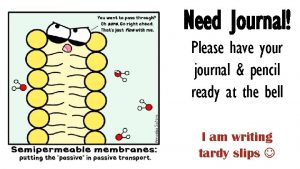 Need Journal Please have your journal pencil ready