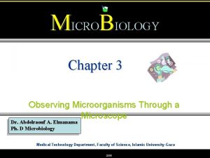 MICROBIOLOGY Chapter 3 Observing Microorganisms Through a Microscope