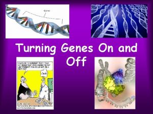 Turning Genes On and Off Turning Genes On