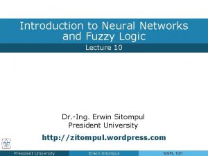 Introduction to Neural Networks and Fuzzy Logic Lecture