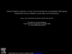 Distinct Selectin Ligands on Colon Carcinoma Mucins Can