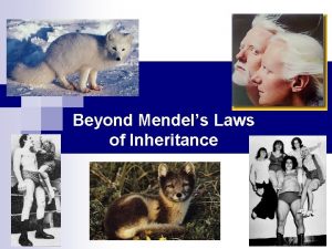 Beyond Mendels Laws of Inheritance Extending Mendelian genetics
