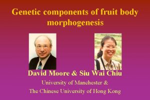 Genetic components of fruit body morphogenesis David Moore